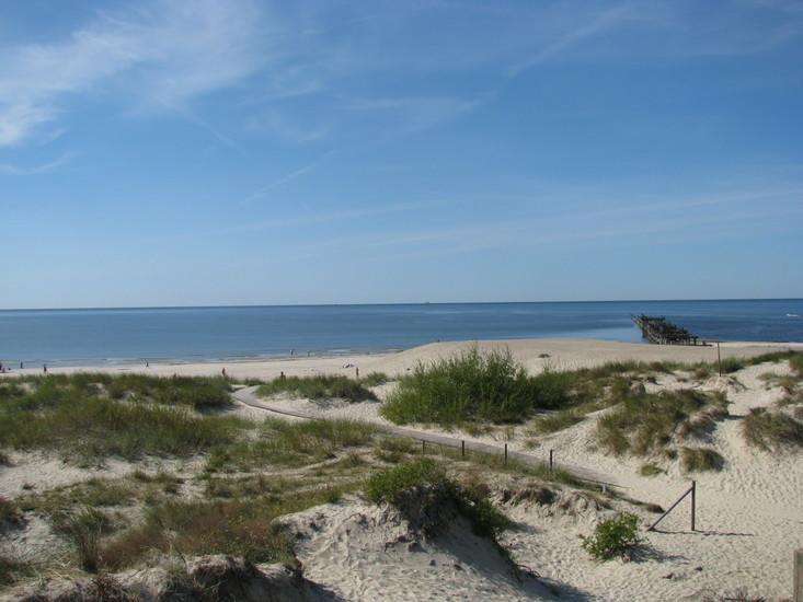 Elija Apartments Palanga Bagian luar foto
